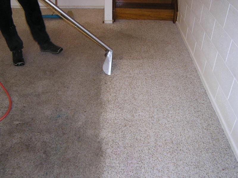 Carpet Cleaners in West Midlands